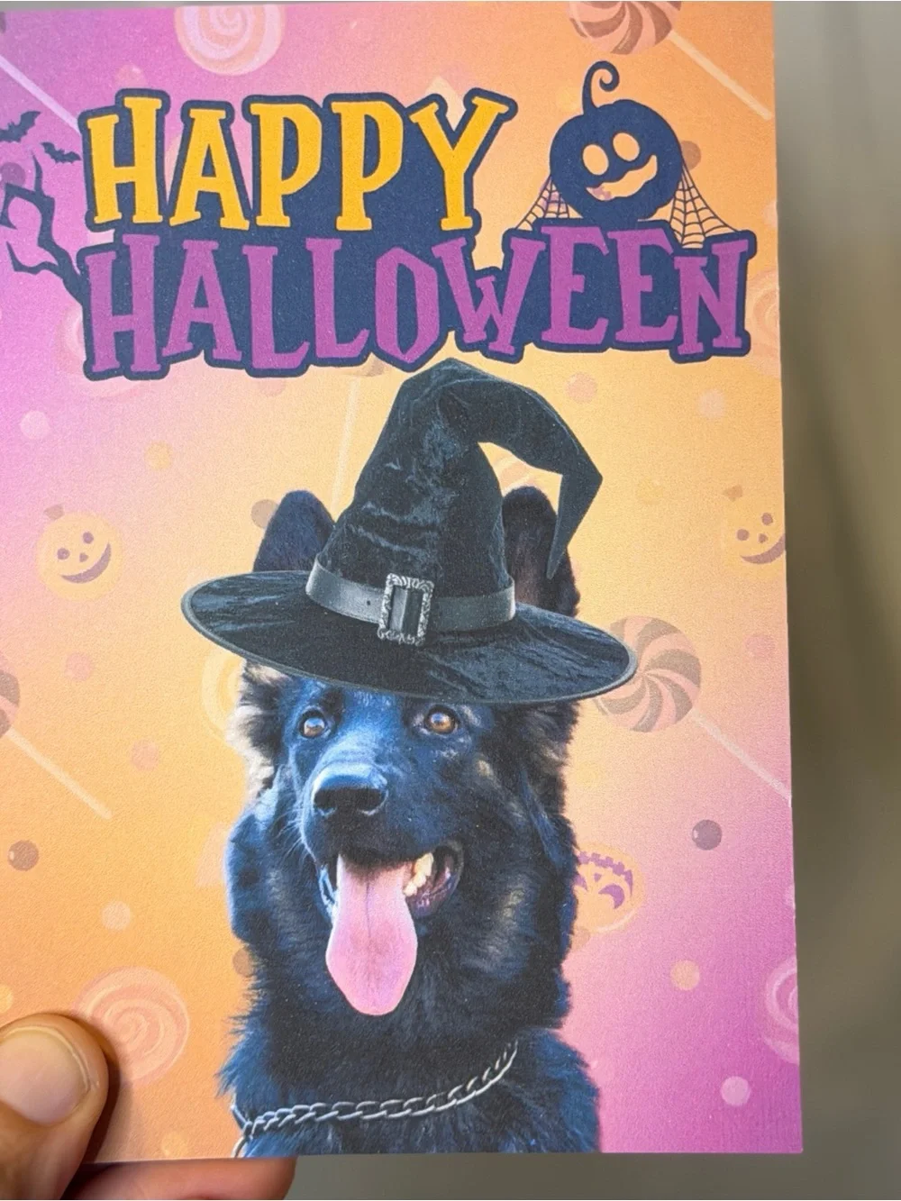 Happy Halloween German Shepherd Greeting Card Set of 15 Blank Inside 4x6